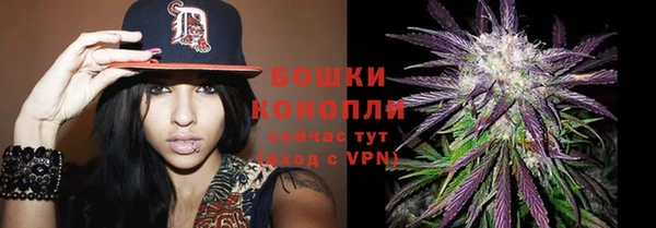 ALPHA PVP Горно-Алтайск