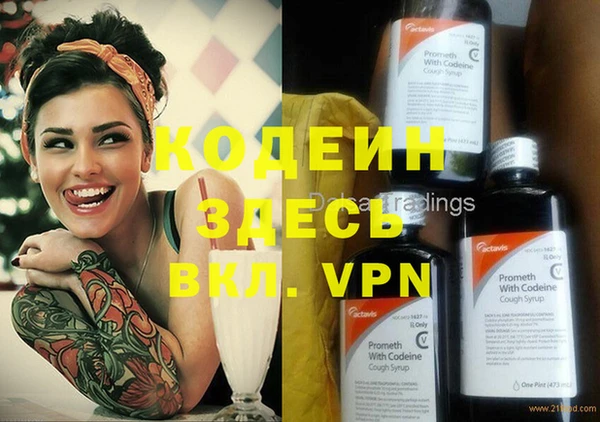 крисы Горняк