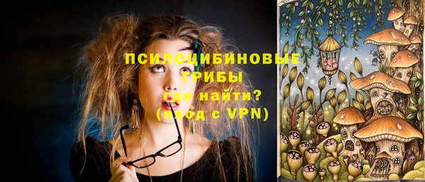 крисы Горняк