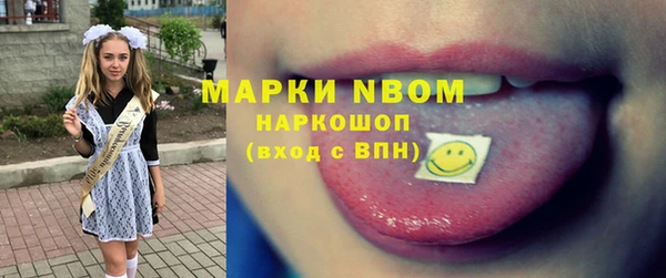 крисы Горняк